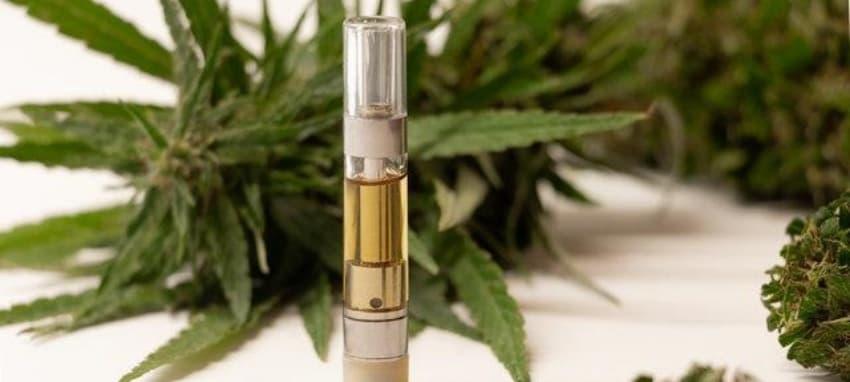 e-cigaretta bolt and electric cigar compared in real user tests on flavor battery life and safety