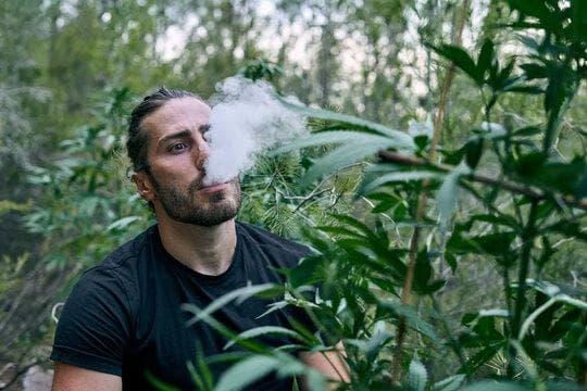 jednostavne e-cigarete beginner's guide and smart shopping tips for disposable electronic cigarette uk buyers